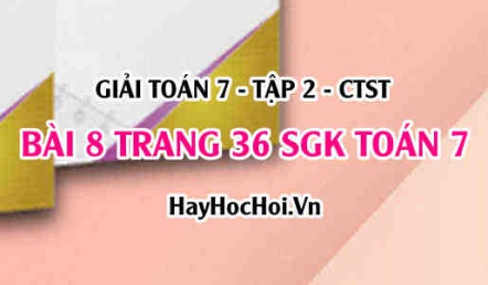 Giải bài 8 trang 36 Toán 7 Tập 2 SGK Chân trời sáng tạo